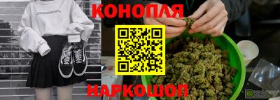 спиды Волгодонск