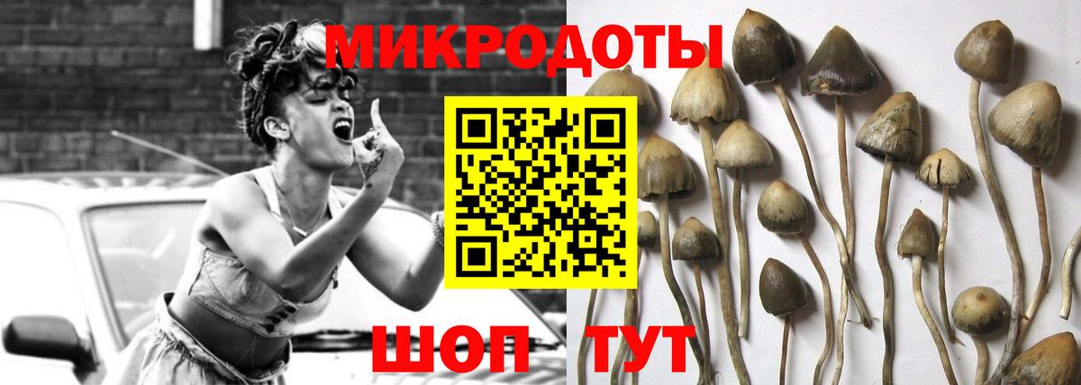 Морозовск  Галлюциногенные грибы мухоморы  Вход с VPN 